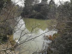 -桃花岛景观公园