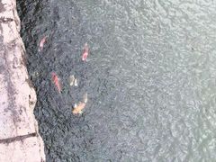 -凤凰山海港乐园