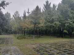 -西安电子科技大学（长安校区）-同学好(高校店)