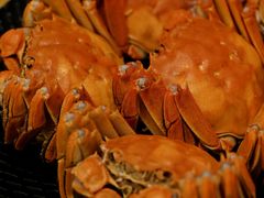 -王宝和酒家(黄浦店)