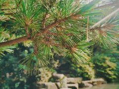 -杭州半山国家森林公园