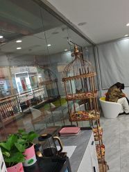 -镁连社·美联社