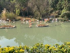 -宁波野生动物园