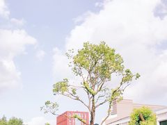 -上海财经大学(国定路校区)