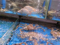 -金成潮菜博物馆(海珠湿地店)