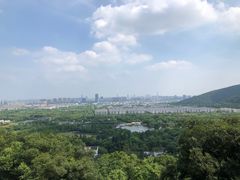 -苏州上方山国家森林公园