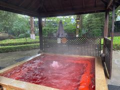 -春晖园度假酒店温泉