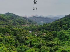 -阳台山森林公园