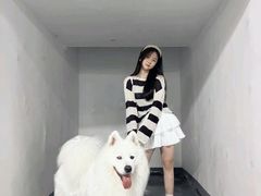 -翊宠yipet猫狗购宠庄园