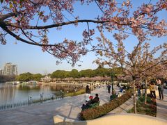 -新江湾城公园