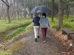 -嘉北郊野公园