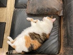 -天一朴素(武汉大学店)