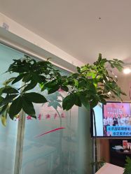 -产后帮产后修复(首城国际店)