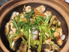 -强记海鲜·大排档(蛇口新街店)