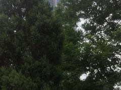 -方恒购物中心(望京小街店)