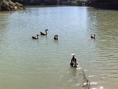 -广州白江湖森林公园