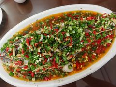 飞虹鱼-飞虹鱼馆(春华路店)