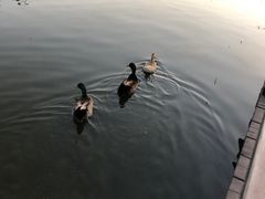 -前关湿地公园