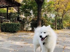 -东方夏威夷