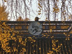 -苏州上方山国家森林公园