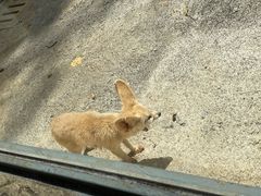 -昆明动物园