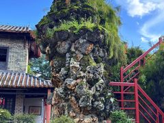 -东莞市可园博物馆