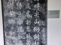 -柳侯公园