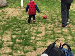 -艾溪湖湿地公园