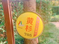 -东平国家森林公园