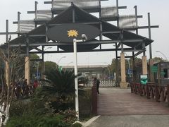 -荷塘月色湿地公园·向阳花洲