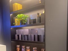 -梵猫·新养生(加州广场店)