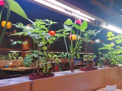 -望京一号·重庆江湖菜(工体店)