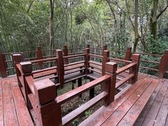 -上海佘山国家森林公园西佘山园