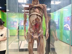 -国家自然博物馆