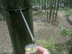 -山沟沟景区