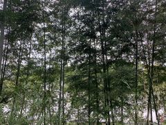 -关山古镇