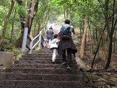 -紫金山山顶公园