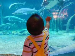 -华夏文旅海洋公园