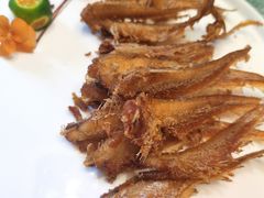 -和平官邸·花园餐厅(武定西路店)