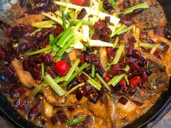 -老板恋上鱼(恒隆广场店)