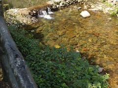 -宁波五龙潭景区