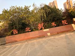 -西北武术院