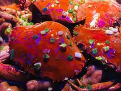 -胖哥俩肉蟹煲(虹口龙之梦店)