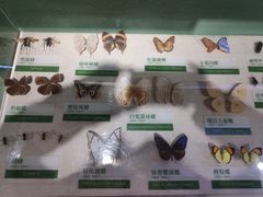 -石家庄市植物园