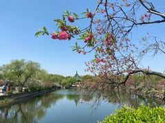 -无锡蠡湖国家湿地公园-蠡园