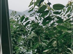 -望湖烤鱼