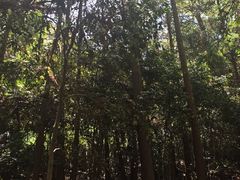 -窦圌山风景区