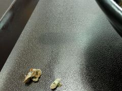 -冯鑫记南京鸭血粉丝汤(南京南站店)