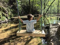 -牛背梁国家森林公园