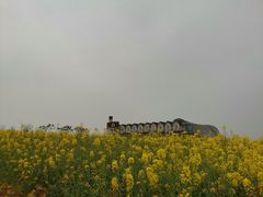 -紫颐香薰山谷景区